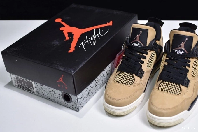 Mushroom Air Jordan 4 AQ9129-200 0719